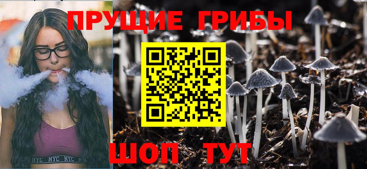 Псилоцибиновые грибы GOLDEN TEACHER  Вход с VPN  Оренбург 